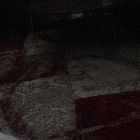 Meet your Posher, Babette - Picture 1 of 1